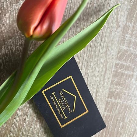 Apartma Ksela Mala Nedelja Luaran gambar