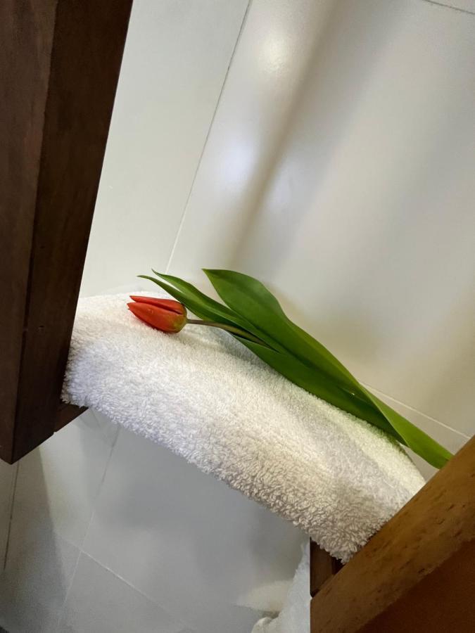 Apartma Ksela Mala Nedelja Luaran gambar