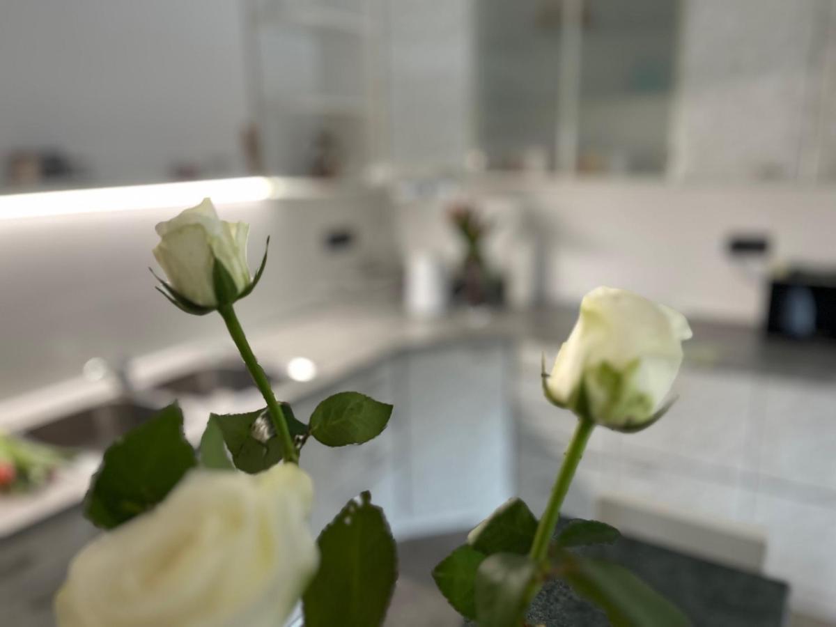 Apartma Ksela Mala Nedelja Luaran gambar
