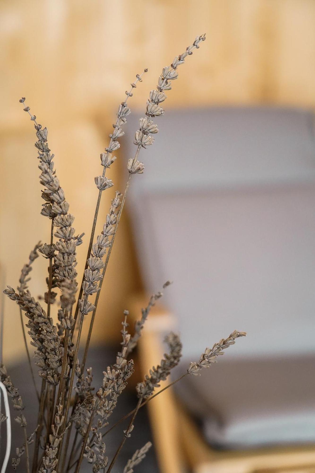 Apartma Ksela Mala Nedelja Luaran gambar